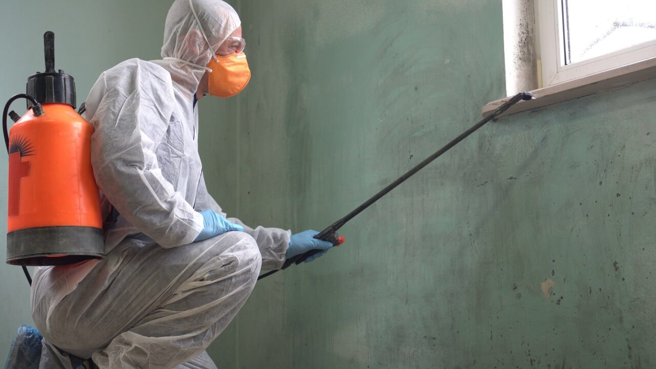 Buford Mold Remediation - Mold Remediation in Buford, Georgia
